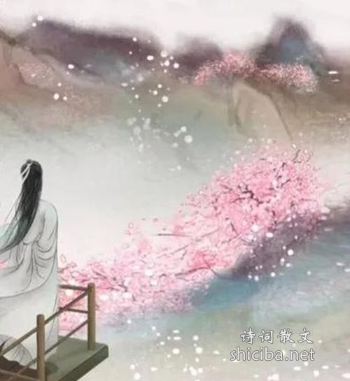 鹧鸪天·西都作